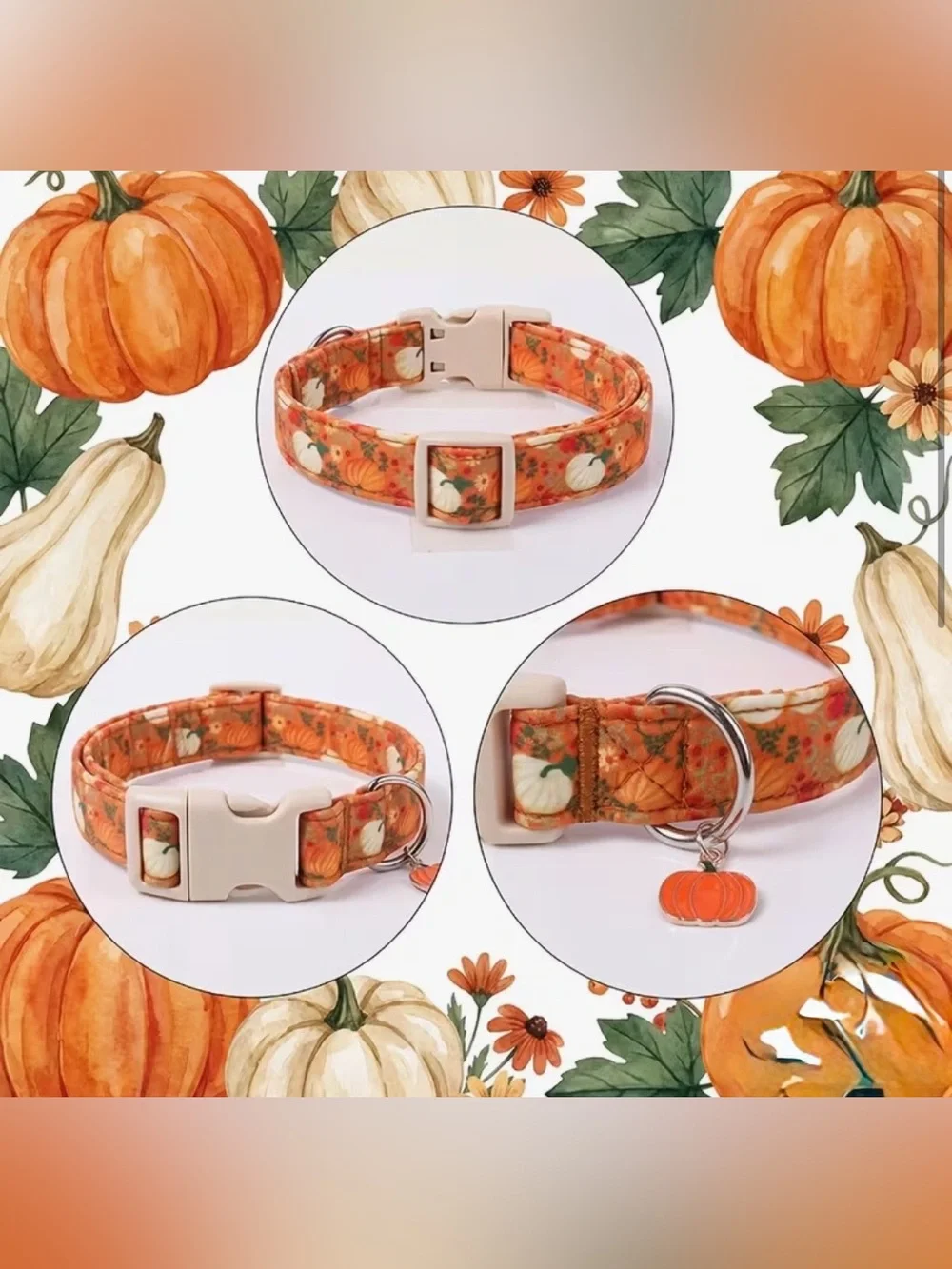 Pumpkin Print Orange Dog Collar with Charm